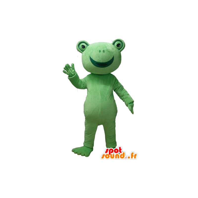 Sapo verde mascote, muito sorridente - MASFR23104 - Forest Animals