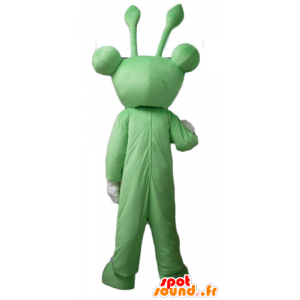 Μασκότ πράσινο βάτραχο, πολύ αστείο με κεραίες - MASFR23105 - Δάσος Ζώα