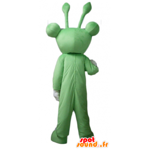 Green frog mascot, very funny with antennae - MASFR23105 - Animals of the forest