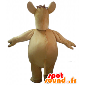 Mascot wielbłąda, beż wielbłąda, wielkie - MASFR23111 - animal Maskotki