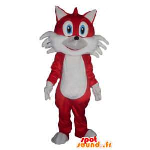Vermelho da mascote e de raposa branca, olhos azuis - MASFR23113 - Fox Mascotes