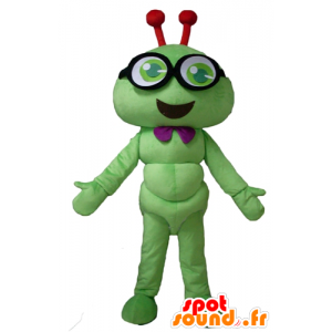 Mascot green caterpillar, smiling insect, with glasses - MASFR23117 - Mascots insect