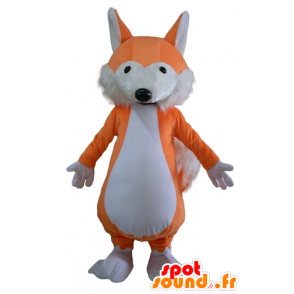 Maskot oranžová a bílá liška, jemná a chlupatá - MASFR23123 - Fox Maskoti