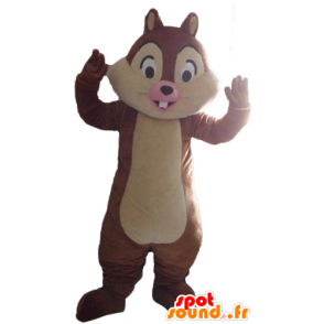 Tic Tac mascot or famous cartoon squirrel - MASFR23134 - Mascots famous characters