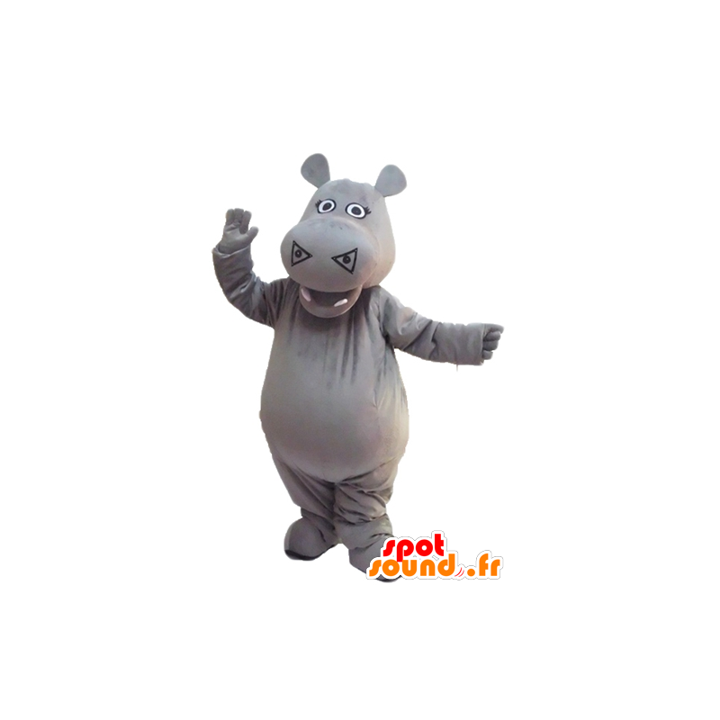 Mascot gray hippo, cute and impressive - MASFR23143 - Mascots hippopotamus