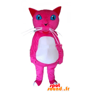 Gato rosado y blanco con los ojos azules de la mascota - MASFR23150 - Mascotas gato