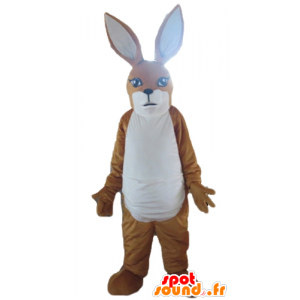 Mascotte de kangourou marron et blanc, de lapin - MASFR23163 - Mascottes Kangourou