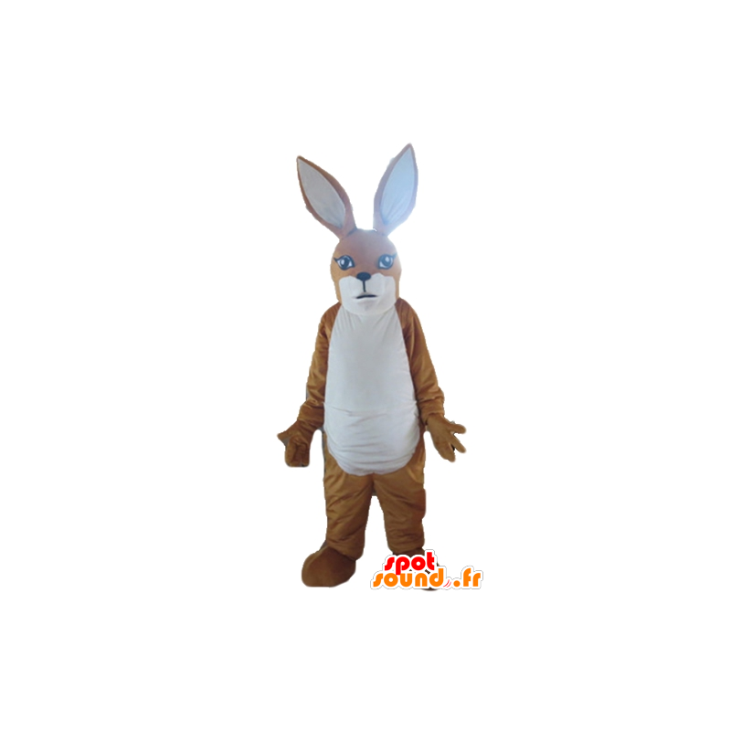 Brown and white kangaroo mascot, rabbit - MASFR23163 - Kangaroo mascots