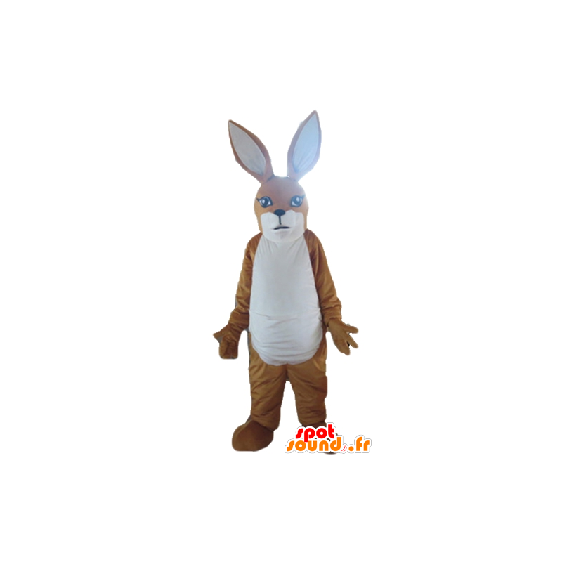 Hnědá a bílá klokan maskot, králík - MASFR23163 - klokaní maskoti