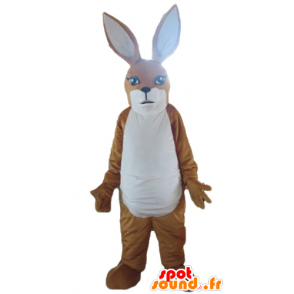 Brown and white kangaroo mascot, rabbit - MASFR23163 - Kangaroo mascots