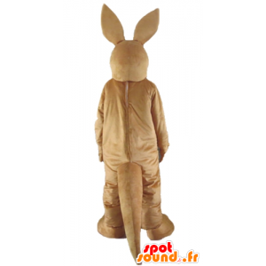 Hnědá a bílá klokan maskot, králík - MASFR23163 - klokaní maskoti