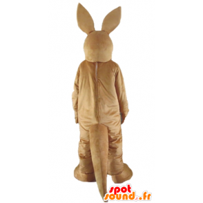 Brown and white kangaroo mascot, rabbit - MASFR23163 - Kangaroo mascots