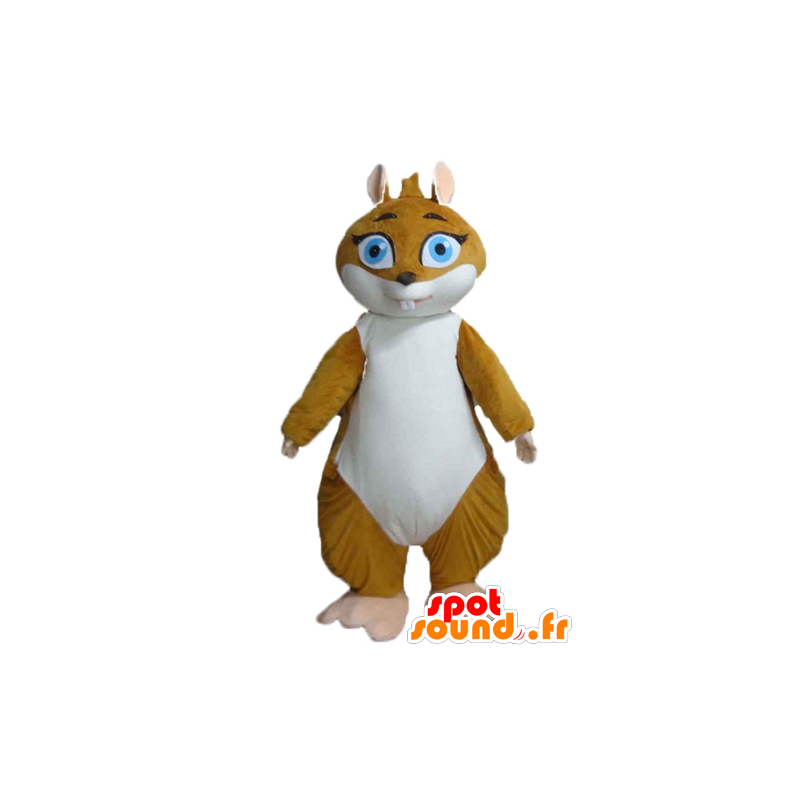 Marmota Mascot, marrón conejillo de Indias y blanco - MASFR23176 - Las mascotas del cerdo