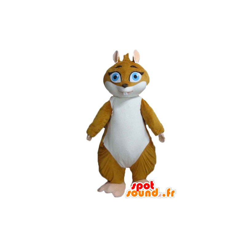 Mascot αρκτόμυς, ινδικό χοιρίδιο καφέ και λευκό - MASFR23176 - Γουρούνι Μασκότ