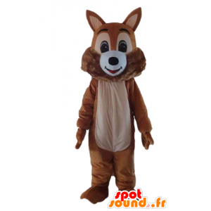 Mascot brun og hvit ekorn, myk og hårete - MASFR23186 - Maskoter Squirrel