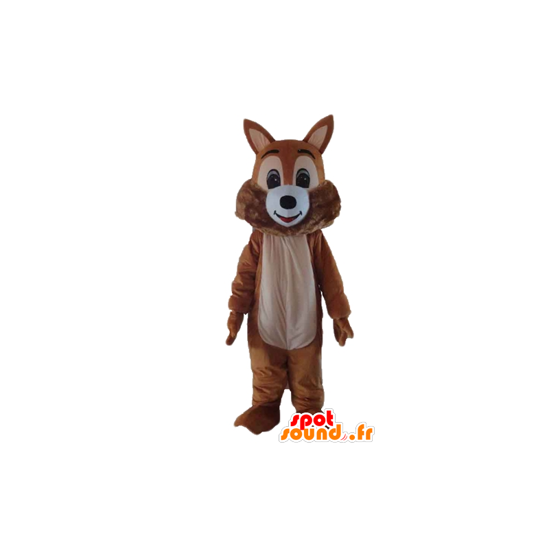 Mascot brun og hvit ekorn, myk og hårete - MASFR23186 - Maskoter Squirrel