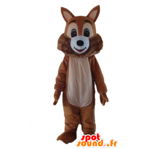 Mascot marrom e esquilo branco, suave e peluda - MASFR23186 - mascotes Squirrel