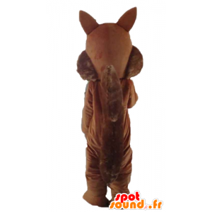 La mascota de color marrón y la ardilla blanca, dulce y peludo - MASFR23186 - Ardilla de mascotas