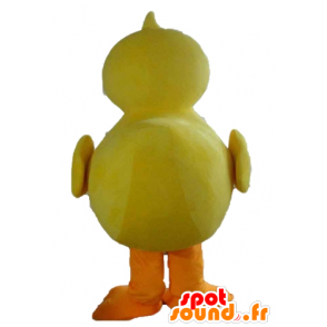 Giant mládě maskot, žlutá a oranžová kachna - MASFR23206 - maskot kachny