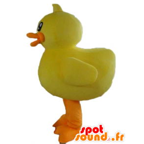 Giant pulcino mascotte, giallo e arancio, anatra - MASFR23206 - Mascotte di anatre