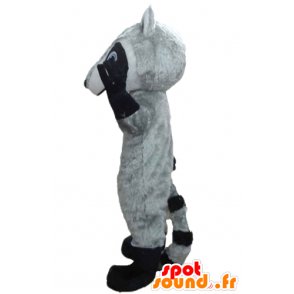 Tricolor wasbeer mascotte met blauwe ogen - MASFR23207 - Mascottes van pups