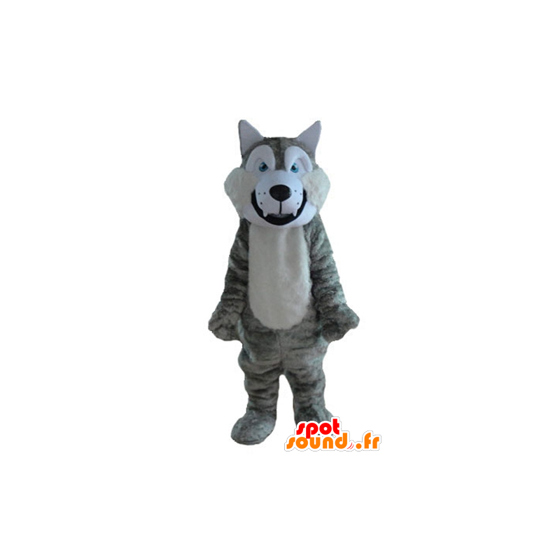 Grigio e bianco lupo mascotte, morbido e peloso - MASFR23213 - Mascotte lupo