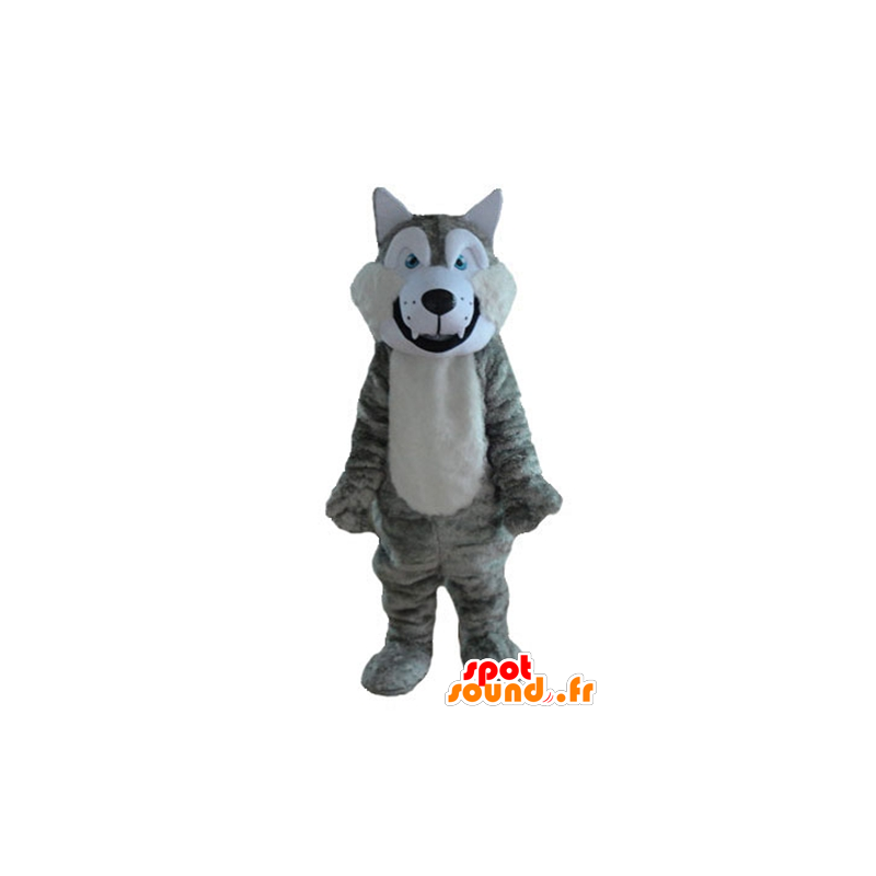 Gris y blanco lobo mascota, suave y peludo - MASFR23213 - Mascotas lobo