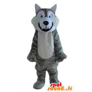 Grigio e bianco lupo mascotte, morbido e peloso - MASFR23213 - Mascotte lupo