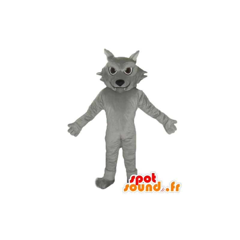 Gato cinzento mascote, gigante e bonito - MASFR23218 - Mascotes gato