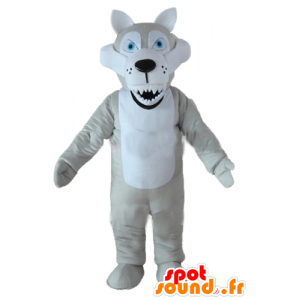 Maskot grå og hvit ulv, med blå øyne og ser at - MASFR23220 - Wolf Maskoter