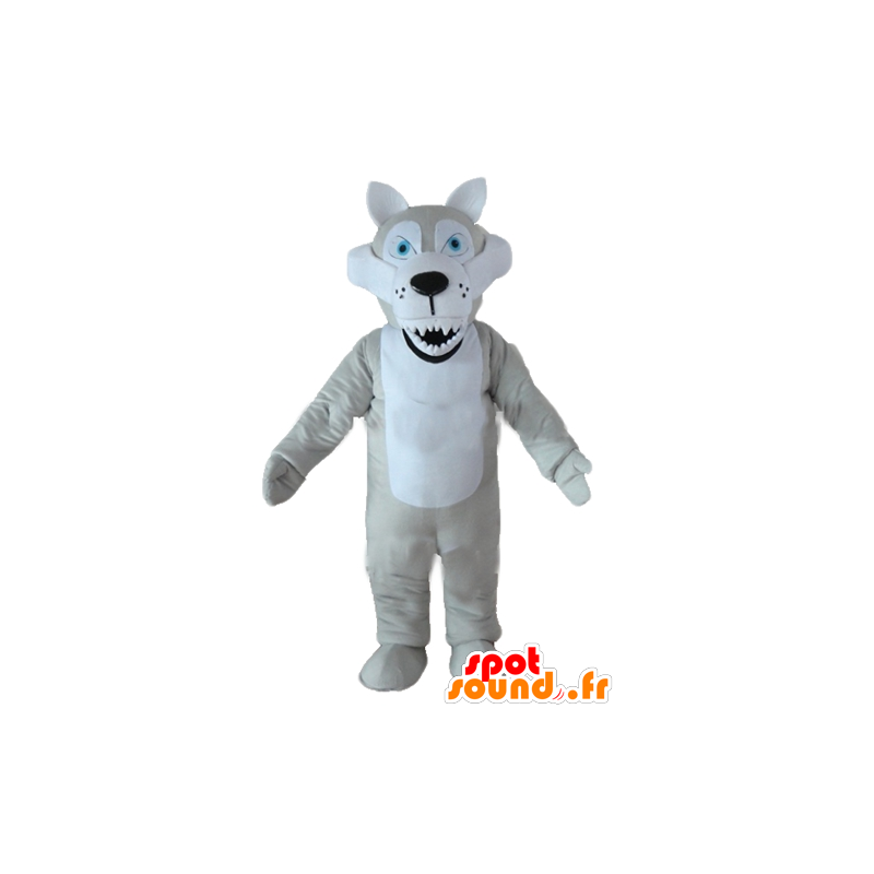 Mascot wolf gray and white, with blue eyes and look mean - MASFR23220 - Mascots Wolf