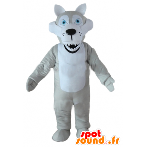 Mascotte grijze en witte wolf, met blauwe ogen en kijk betekenen - MASFR23220 - Wolf Mascottes