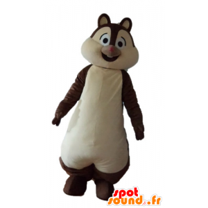 Mascot castanho e branco esquilo, Tic ou Tac - MASFR23223 - mascotes Squirrel