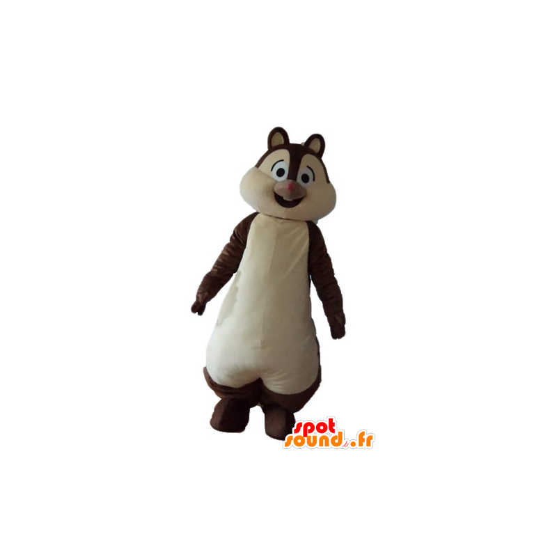 Mascot bruine en witte eekhoorn, Tic of Tac - MASFR23223 - mascottes Squirrel