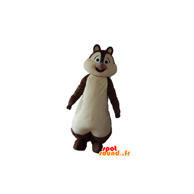 Mascot brun og hvit ekorn, Tic eller Tac - MASFR23223 - Maskoter Squirrel