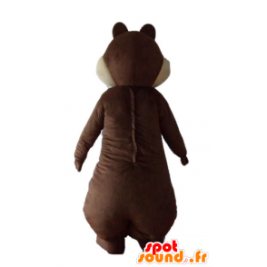 La mascota de color marrón y la ardilla blanca, Tic Tac o - MASFR23223 - Ardilla de mascotas