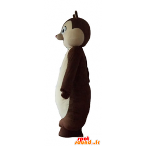 Brun og hvid egern maskot, Tic eller Tac - Egern maskotter - MASFR23223 - SpotSound.fr