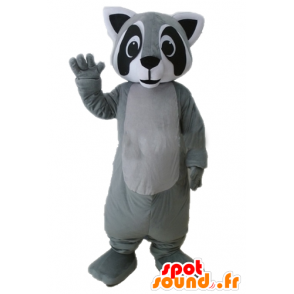 Raccoon Maskottchen grau, schwarz und weiß, sehr realistisch - MASFR23231 - Maskottchen von pups