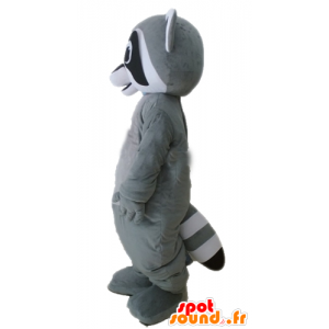 Mascot grå vaskebjørn, sort og hvit, veldig realistisk - MASFR23231 - Maskoter av valper