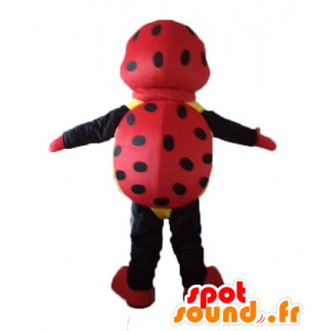 Marienkäfer-Maskottchen rot, schwarz und gelb, mit Tupfen - MASFR23237 - Maskottchen Insekt
