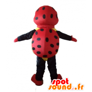 Marienkäfer-Maskottchen rot, schwarz und gelb, mit Tupfen - MASFR23237 - Maskottchen Insekt