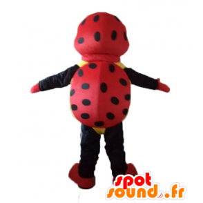 Mascot joaninha vermelho, preto e amarelo, com bolinhas - MASFR23237 - mascotes Insect