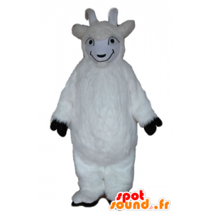 La mascota de cabra, cabra blanca, peluda todo - MASFR23245 - Cabras y cabras mascotas