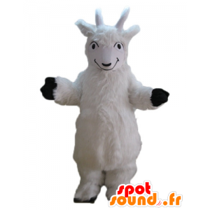 Mascot geit, hvit geit, geit all hårete - MASFR23246 - Maskoter og geiter Geiter