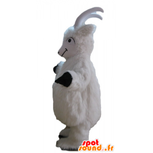 Mascot goat, white goat, goat hairy all - MASFR23246 - Goats and goat mascots