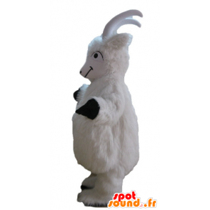 Mascote da cabra, cabra branca, cabra todo peludo - MASFR23246 - Mascotes e Cabras Goats