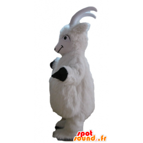 Mascotte della capra, capra bianca, capra peloso tutto - MASFR23246 - Capre e capra mascotte