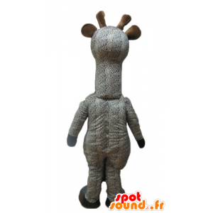 Mascot cinzento e branco girafa, manchado - MASFR23248 - mascotes Giraffe