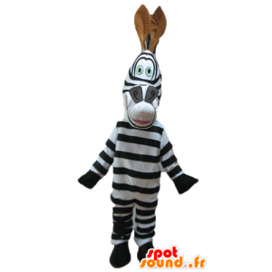 Mascotte van de beroemde zebra Marty cartoon Madagascar - MASFR23251 - Celebrities Mascottes
