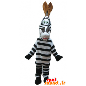 Marty zebra mascot of famous cartoon Madagascar - MASFR23251 - Mascots famous characters